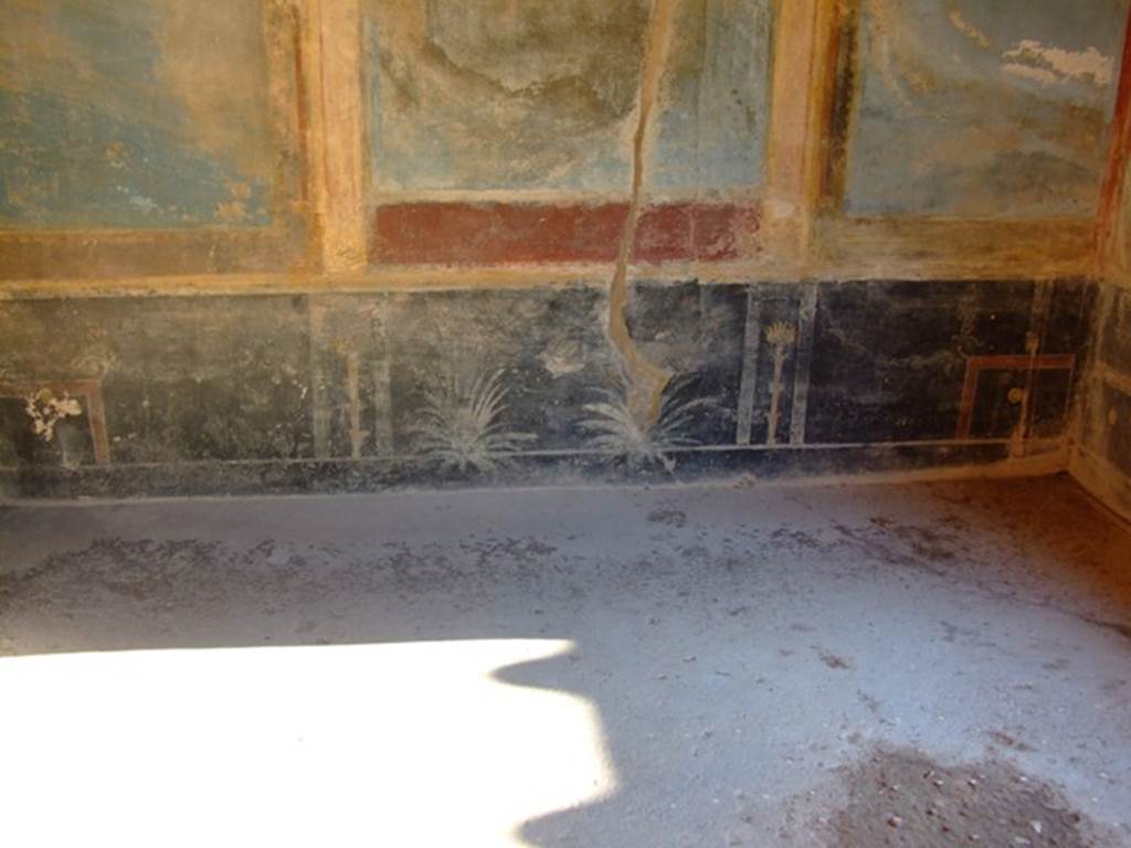 II.3.3 Pompeii. March 2009. Room 10, South wall. Painted plants.