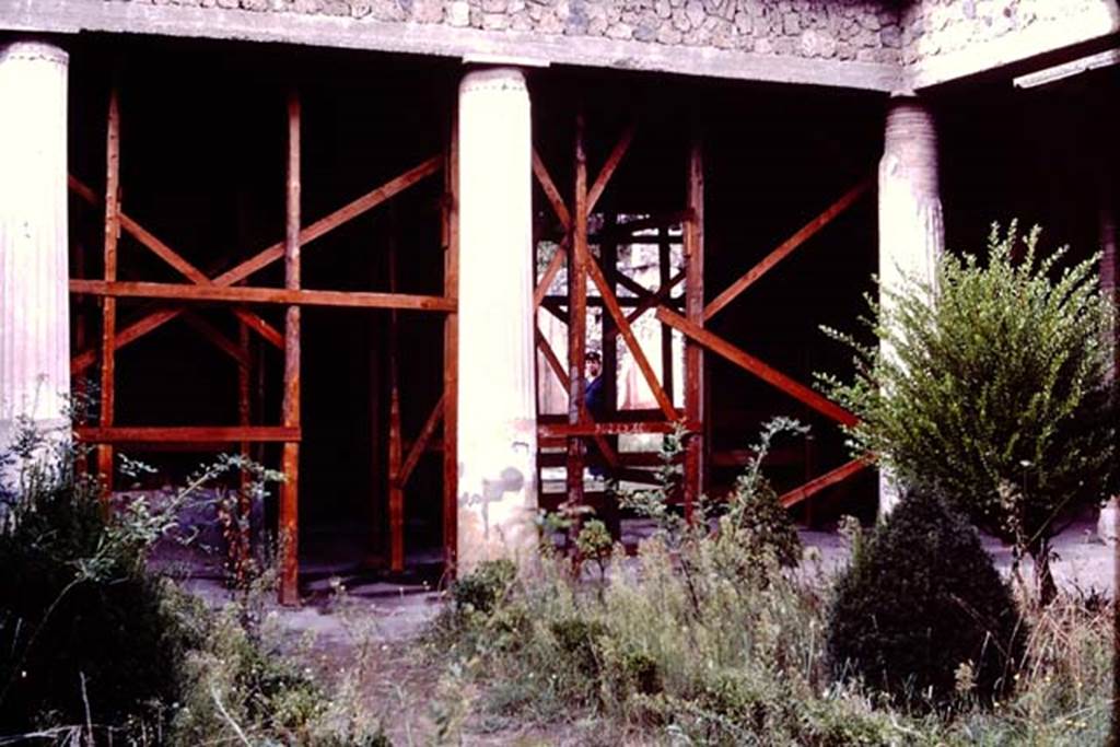 II.3.3 Pompeii, 1982 or 1983. Looking towards north portico and doorway to atrium.
Source: The Wilhelmina and Stanley A. Jashemski archive in the University of Maryland Library, Special Collections (See collection page) and made available under the Creative Commons Attribution-Non Commercial License v.4. See Licence and use details. J80f0456