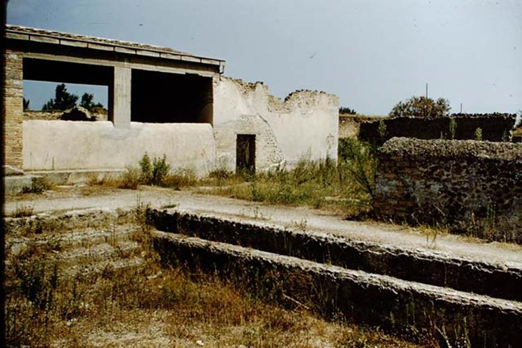 II.4.6 Pompeii. 1959. Looking north-east from the swimming pool. Photo by Stanley A. Jashemski.
Source: The Wilhelmina and Stanley A. Jashemski archive in the University of Maryland Library, Special Collections (See collection page) and made available under the Creative Commons Attribution-Non Commercial License v.4. See Licence and use details.
J59f0150
