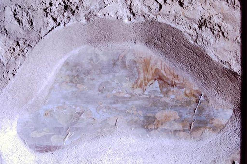 II.4.6 Pompeii. 1968. Summer triclinium, remains of wall decoration from west end of south wall, possibly a hippopotamus. Photo by Stanley A. Jashemski.
Source: The Wilhelmina and Stanley A. Jashemski archive in the University of Maryland Library, Special Collections (See collection page) and made available under the Creative Commons Attribution-Non Commercial License v.4. See Licence and use details.
J68f0700