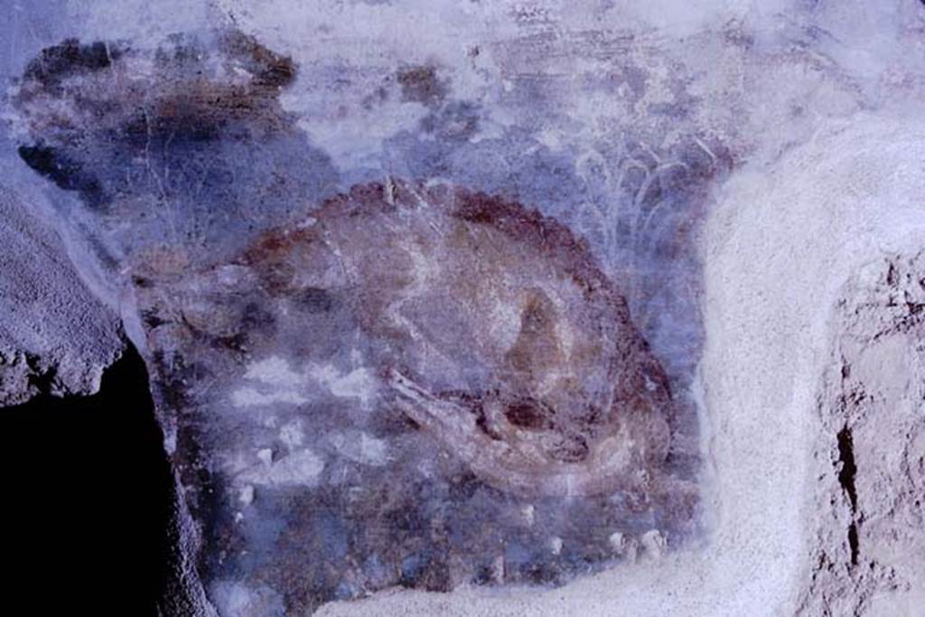 II.4.6 Pompeii, 1968. Summer triclinium, painted decoration of Nile landscape with crocodile from east end of north wall. Photo by Stanley A. Jashemski.
Source: The Wilhelmina and Stanley A. Jashemski archive in the University of Maryland Library, Special Collections (See collection page) and made available under the Creative Commons Attribution-Non Commercial License v.4. See Licence and use details.
J68f0703