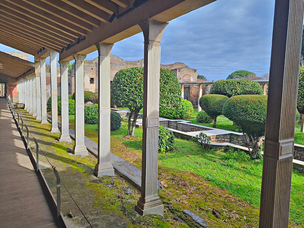 II.4.6 Pompeii. March 2024.
Looking north along west portico and across peristyle garden, from its southern end. Photo courtesy of Giuseppe Ciaramella.