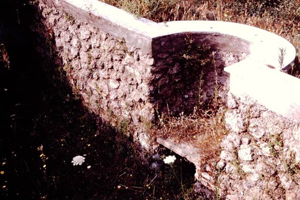 II.4.6 Pompeii. 1977. Detail from water feature. Photo by Stanley A. Jashemski.
Source: The Wilhelmina and Stanley A. Jashemski archive in the University of Maryland Library, Special Collections (See collection page) and made available under the Creative Commons Attribution-Non Commercial License v.4. See Licence and use details. J77f0441