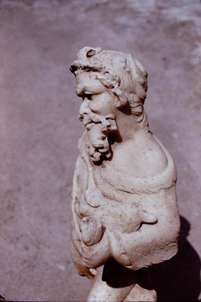 II.4.6 Pompeii, 1972. Detail of statuette of marble satyr found at the north end of the pool.
Photo by Stanley A. Jashemski.
Source: The Wilhelmina and Stanley A. Jashemski archive in the University of Maryland Library, Special Collections (See collection page) and made available under the Creative Commons Attribution-Non Commercial License v.4. See Licence and use details.
J72f0314