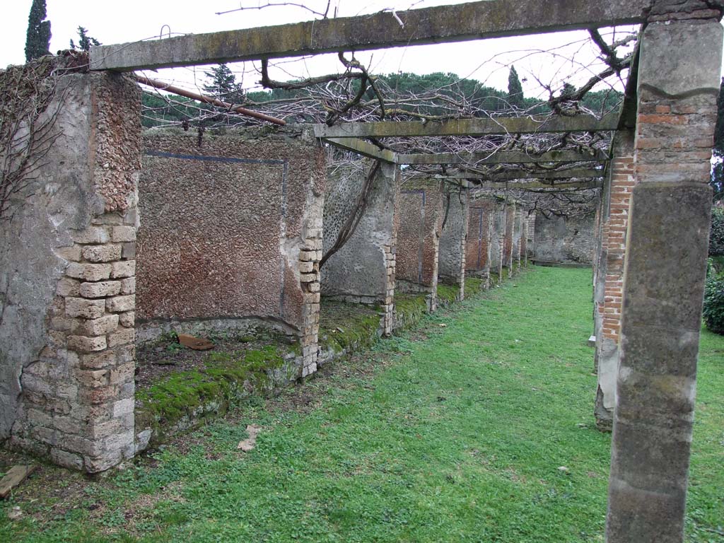 II.4.6 Pompeii. December 2006. Niches in pergola on east side of garden, looking south.
The south wall, in the distance, would have been where the under-mentioned sacrarium was found.
On the 15th June 1755 (PAH I, 1, 21, add. 98), it was reported that a small room was discovered in the south wall of the garden.
The sacrarium was thought to be dedicated to Egyptian deities.
This had been excavated on 13th June.
The room was completely painted and included paintings of Isis, Serapis, Anubis and Fortuna.
In the south wall was an altar of white marble.
Also found in this room was the bronze tripod supported by ithyphallic satyrs.
Several other smaller items in gold, bronze and ivory were also found.
See Pagano, M. and Prisciandaro, R., 2006. Studio sulle provenienze degli oggetti rinvenuti negli scavi borbonici del regno di Napoli. Naples: Nicola Longobardi, (p. 17 and note 43).