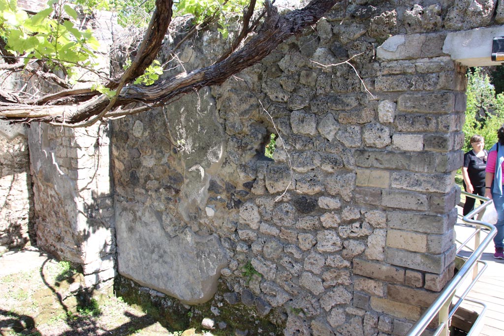 II.4.6 Pompeii. May 2024.
South wall in south-east corner of garden. In this area, the doorway into the Sacrarium was found. Photo courtesy of Klaus Heese.
According to Parslow –
“They then reversed direction, turning towards the south end of the viridarium where they came across a small barrel-vaulted sacrarium painted with Egyptian and Roman deities (no. 55 on plan) (see note 8 & note 9). Because of the curious nature of these paintings, Paderni ordered the sacrarium removed whole, and this was accomplished by chiselling it from its foundations and from the enclosure walls of the viridarium. On the floor inside the sacrarium stood one of the great treasures of this site: a bronze tripod……..”
(Note 9 - The sacrarium was re-erected in the museum at Portici and eventually transferred to the Naples Archaeological Museum; it disappeared sometime after 1885, except for the lower portion showing the sacred snakes (MN 9693).
See Parslow, C.C. (1998). Rediscovering Antiquity: Karl Weber and the Excavation of Herculaneum, Pompeii and Stabiae. UK, Cambridge UP (p.110, & p.345, notes 8 & 9)