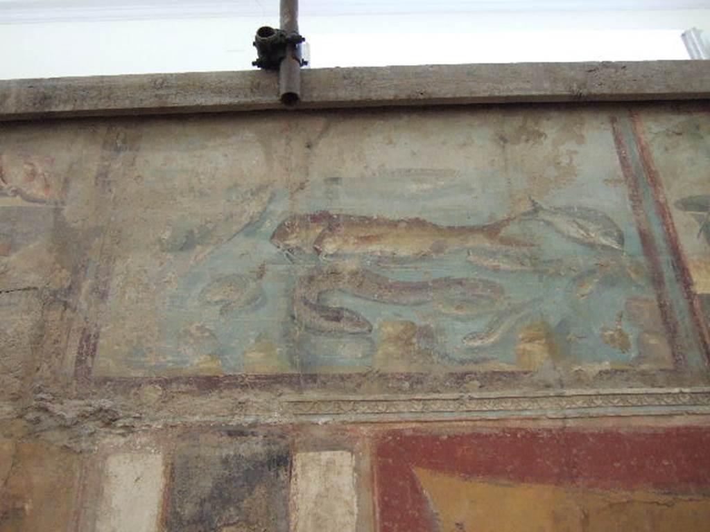 II.4.10 Pompeii. Painting of fish species on upper wall from tablinum of Praedia di Giulia Felice (Julia Felix). Now in Naples Archaeological Museum.