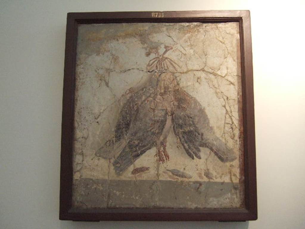II.4.10 Pompeii. Found June/July 1755. Wall painting of three dead partridges bound and hung from a nail. Found in area 95, south-west corner of atrium. Now in Naples Archaeological Museum. Inventory number 8733. See Pagano, M. and Prisciandaro, R., 2006. Studio sulle provenienze degli oggetti rinvenuti negli scavi borbonici del regno di Napoli. Naples : Nicola Longobardi. (p.18, item 13 and note 66).