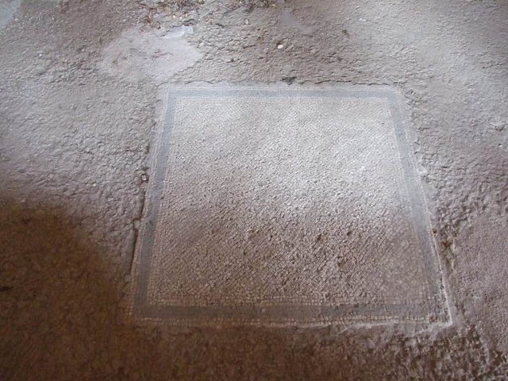 III.4.b. Pompeii. March 2009. Room 3. Oecus. Mosaic floor