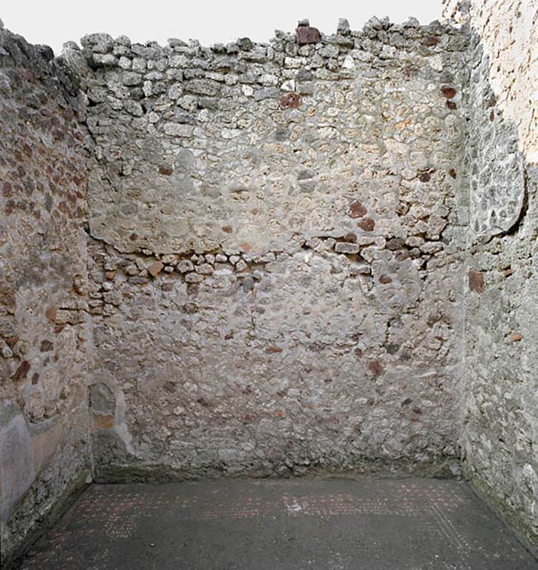 V.1.18 Pompeii. c.2005-2008.
Room “n”, oecus, looking towards north wall. Photo by Hans Thorwid.
Photo courtesy of The Swedish Pompeii Project.