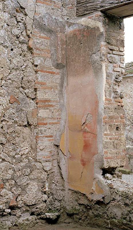 V.1.18 Pompeii. c.2005-2008.
Room “n”, oecus, detail of painted decoration in south-east corner. Photo by Hans Thorwid.
Photo courtesy of The Swedish Pompeii Project.