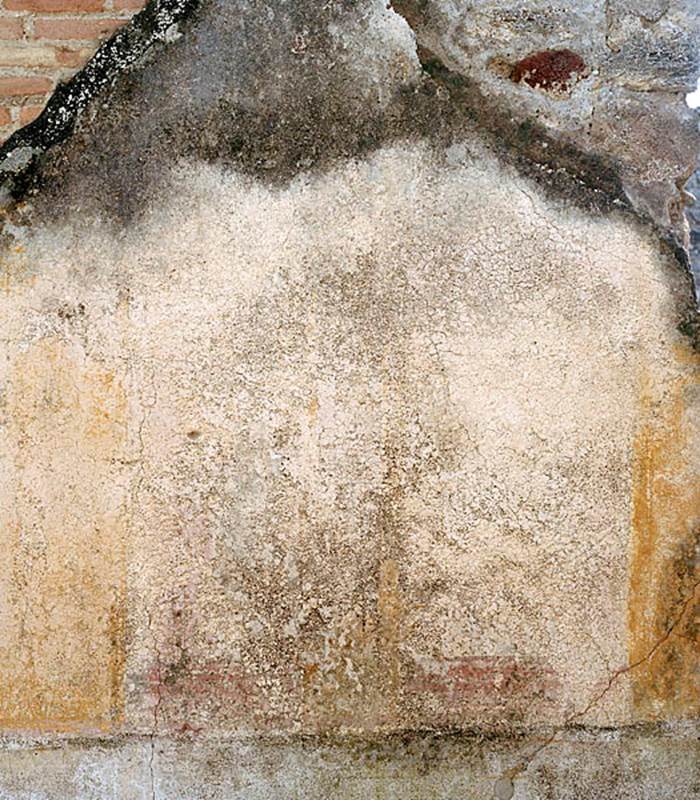 V.1.18 Pompeii. c.2005-2008. Room “d”.
South wall, detail of area between doorway and window. Photo by Hans Thorwid.
Photo courtesy of The Swedish Pompeii Project.