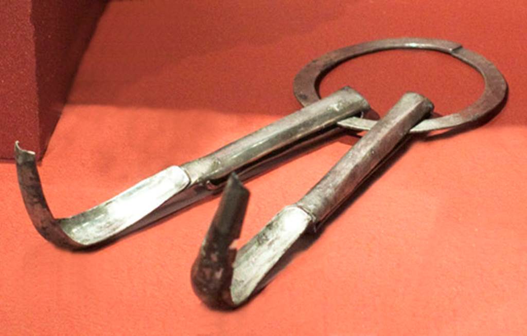 V.1.18 Pompeii. Silver found in the ala “e”. Two silver strigili joined by a ring.
Now in Naples Archaeological Museum. Inventory number 110862.