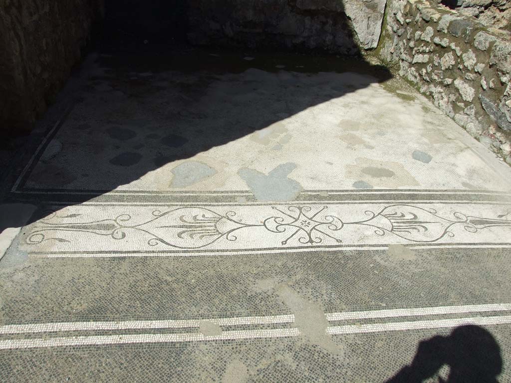 V.1.26 Pompeii. March 2009. Room “e”, mosaic floor in ala on north side of atrium.