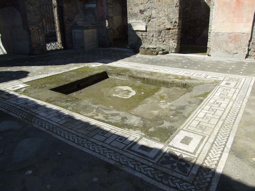 V.1.26 Pompeii. March 2009. Room 1, mosaic edge around impluvium in atrium. Looking north-west.