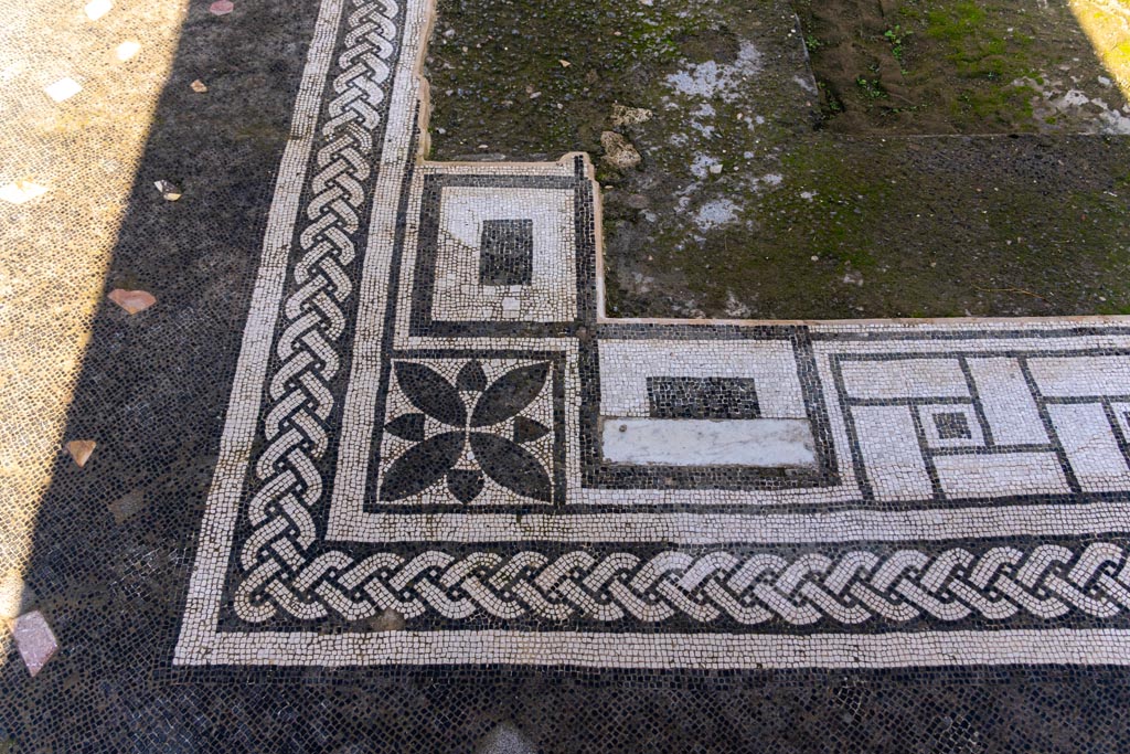 V.1.26 Pompeii. March 2009. Room 1, mosaic edge around impluvium.