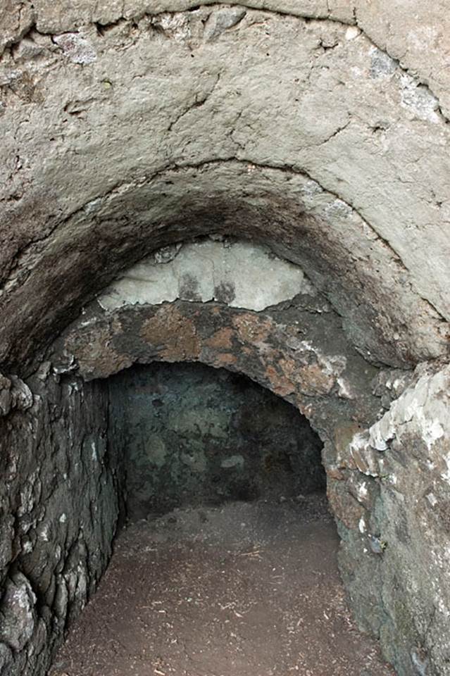 V.1.26 Pompeii. c.2003-2007. Cellar. Photo by Hans Thorwid.
Photo courtesy of The Swedish Pompeii Project.