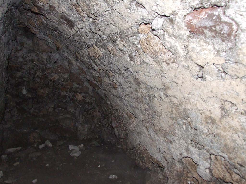 V.1.26 Pompeii. March 2009. West wall of cellar.