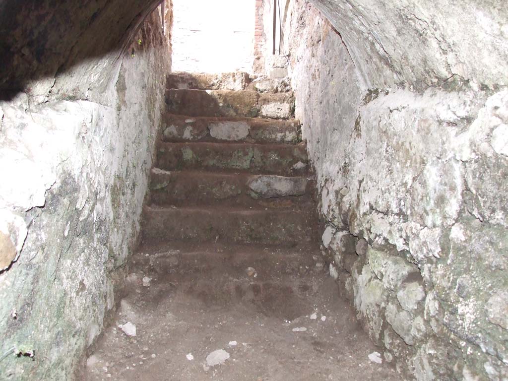 V.1.26 Pompeii. March 2009. Room 17, steps from cellar up to east side of peristyle garden.