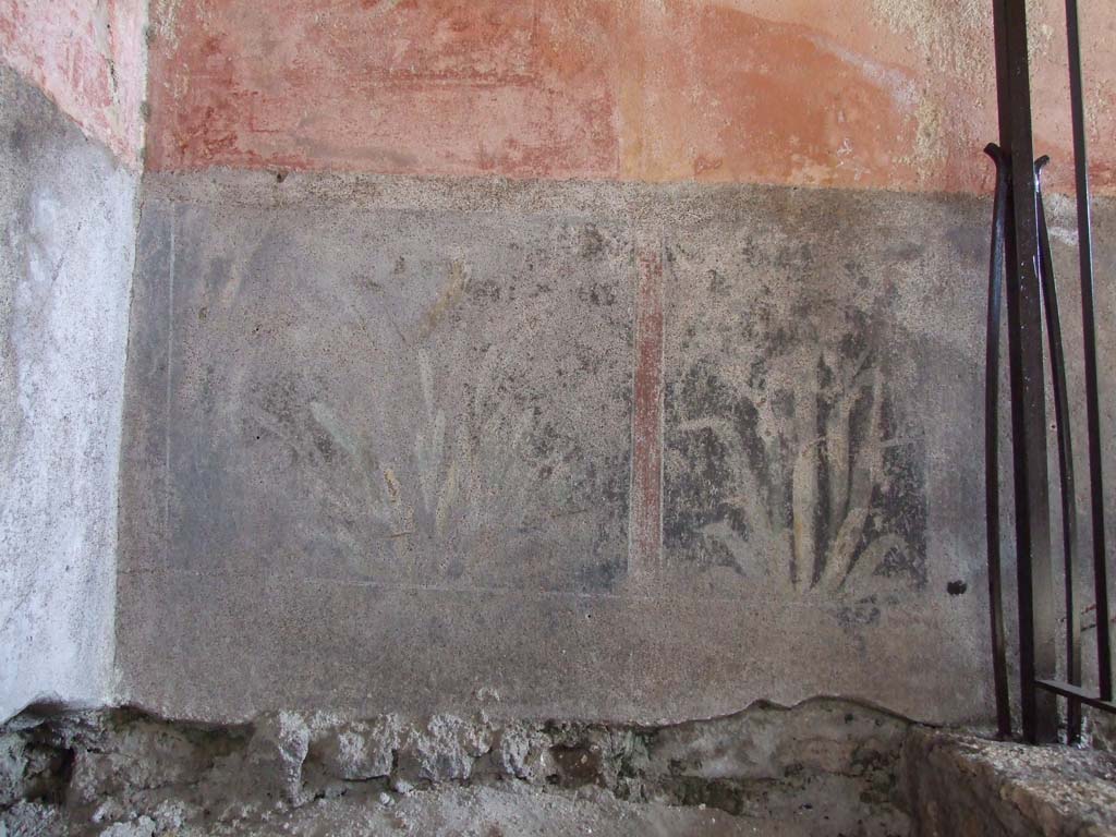 V.1.26 Pompeii. March 2009. Room 17, wall above steps down to cellar, with plant painting.