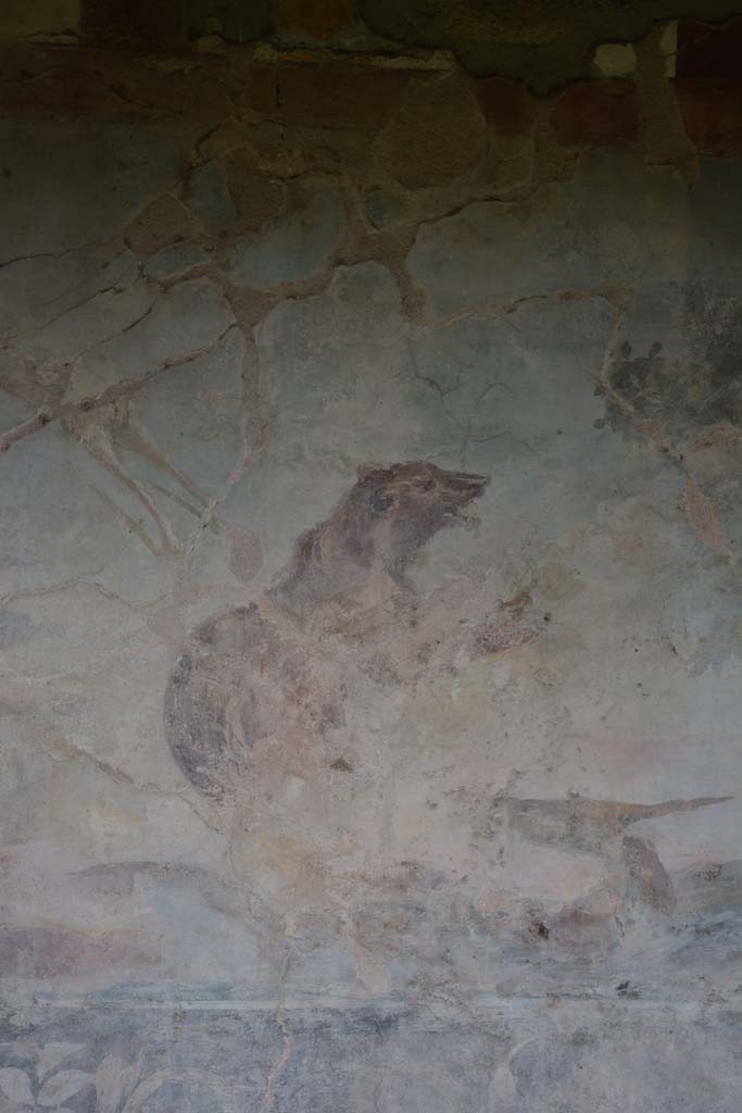 V.4.a Pompeii. March 2018. Room ‘l’ (L), detail of bear from north wall at west end.
Foto Annette Haug, ERC Grant 681269 DÉCOR