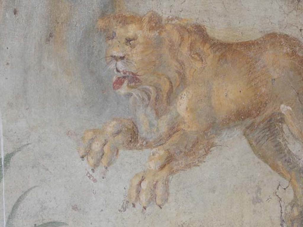 V.4.a Pompeii. May 2015. North wall of the garden, far right corner.
Detail of a large female lioness springing to the left. Photo courtesy of Buzz Ferebee.