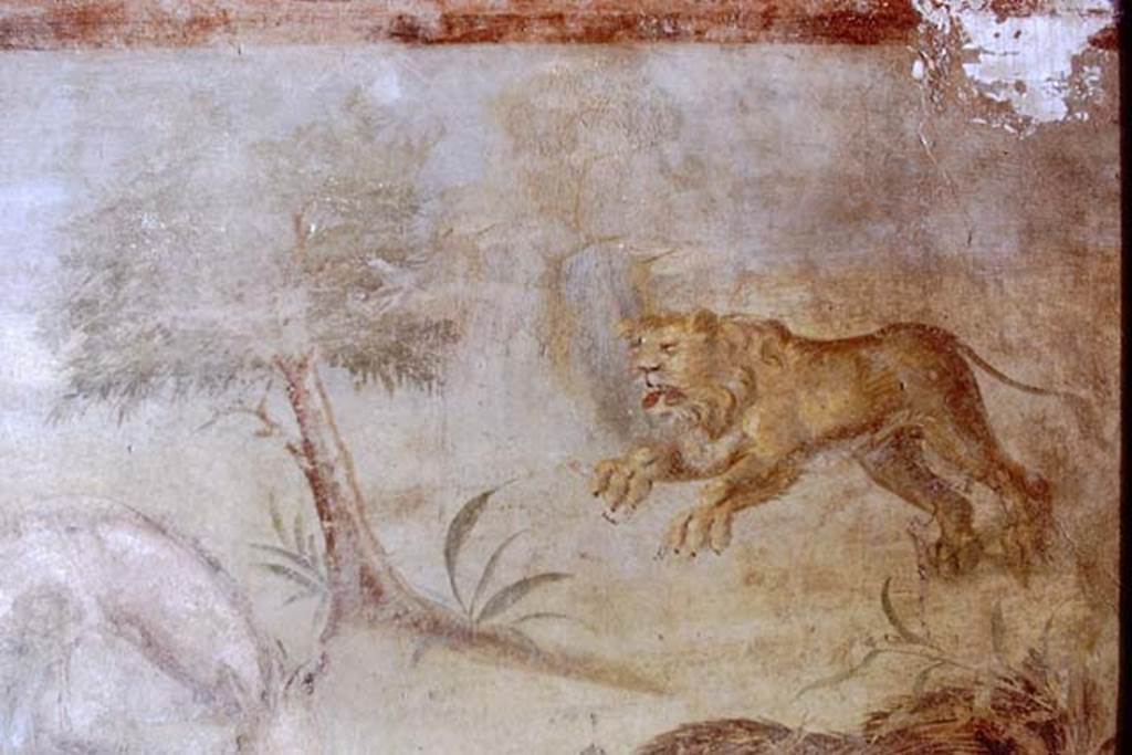 V.4.a Pompeii. 1968. Springing lioness, detail from north wall of garden, at east end. Photo by Stanley A. Jashemski.
Source: The Wilhelmina and Stanley A. Jashemski archive in the University of Maryland Library, Special Collections (See collection page) and made available under the Creative Commons Attribution-Non Commercial License v.4. See Licence and use details.
J68f0661