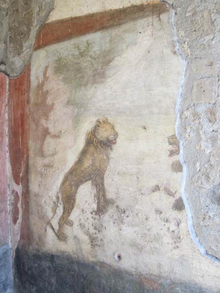 V.4.a Pompeii. March 2012. Hunting fresco with lion and remains of life-size animals on south wall of garden area. Photo courtesy of Marina Fuxa.
