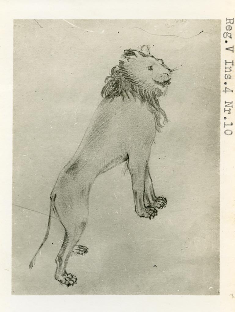 V.4.a Pompeii, but shown as V.4.10 on photo. Pre-1937-39.
Room ‘l’ (L), drawing of garden painting of lion on south wall.
Photo courtesy of American Academy in Rome, Photographic Archive. Warsher collection no. 698.