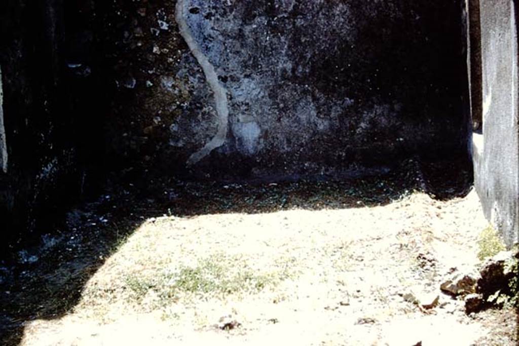 V.4.a Pompeii. 1961. Looking south across garden area. Photo by Stanley A. Jashemski.
Source: The Wilhelmina and Stanley A. Jashemski archive in the University of Maryland Library, Special Collections (See collection page) and made available under the Creative Commons Attribution-Non Commercial License v.4. See Licence and use details. J61f0835