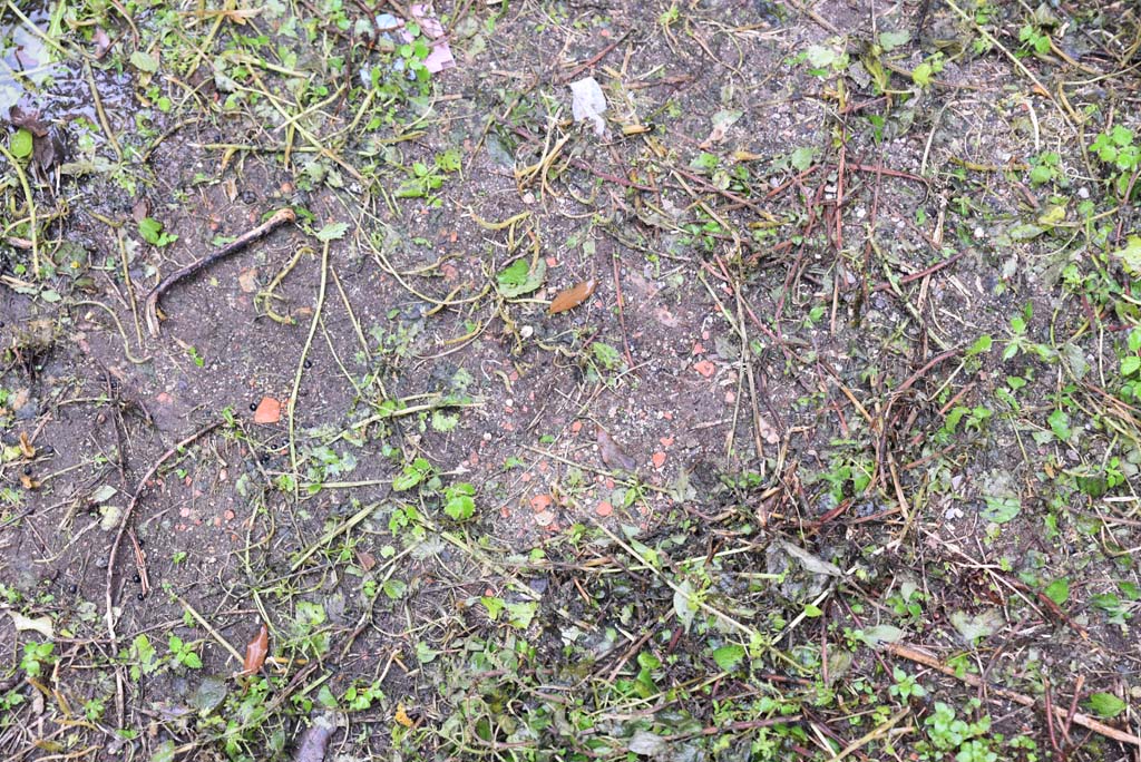 V.4.a Pompeii. March 2018. Room ‘n’, flooring.
Foto Annette Haug, ERC Grant 681269 DÉCOR.