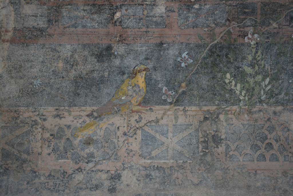 V.4.a Pompeii. March 2019. Room ‘h’, detail of bird from zoccolo of lower north wall at west end.
Foto Annette Haug, ERC Grant 681269 DÉCOR.