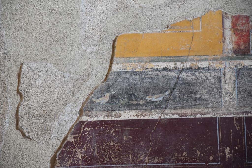 V.4.a Pompeii. March 2018. Room ‘g’, detail of painted birds predella above zoccolo on lower east wall towards north end.
Foto Annette Haug, ERC Grant 681269 DÉCOR.