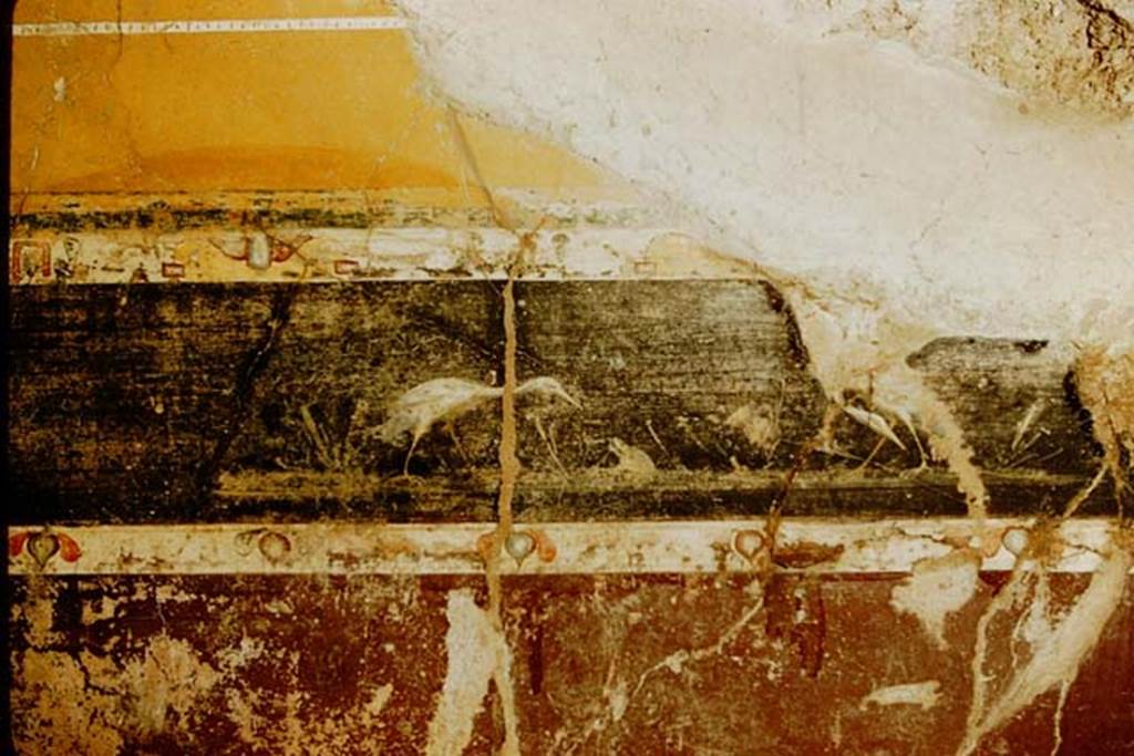 V.4.a Pompeii. 1957. East end of south wall, cubiculum on south side of Atrium.
Photo by Stanley A. Jashemski.
Source: The Wilhelmina and Stanley A. Jashemski archive in the University of Maryland Library, Special Collections (See collection page) and made available under the Creative Commons Attribution-Non Commercial License v.4. See Licence and use details.
J57f0293