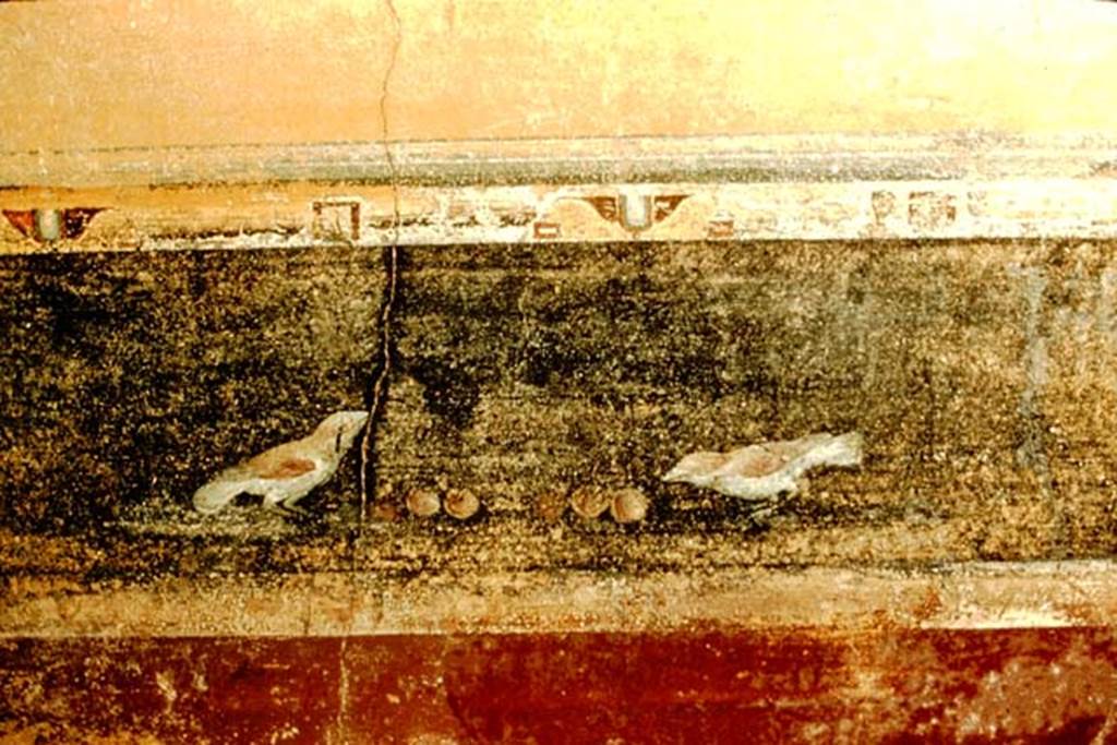 V.4.a Pompeii. 1957. North wall, west side of entrance doorway, cubiculum on south side of Atrium.
Photo by Stanley A. Jashemski.
Source: The Wilhelmina and Stanley A. Jashemski archive in the University of Maryland Library, Special Collections (See collection page) and made available under the Creative Commons Attribution-Non Commercial License v.4. See Licence and use details.
J57f0297