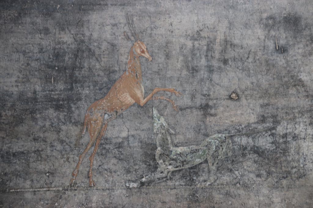 V.4.a Pompeii. October 2023. 
Room ‘b’, detail of painted deer and dog from centre of second panel from west side on north wall.  Photo courtesy of Klaus Heese.
