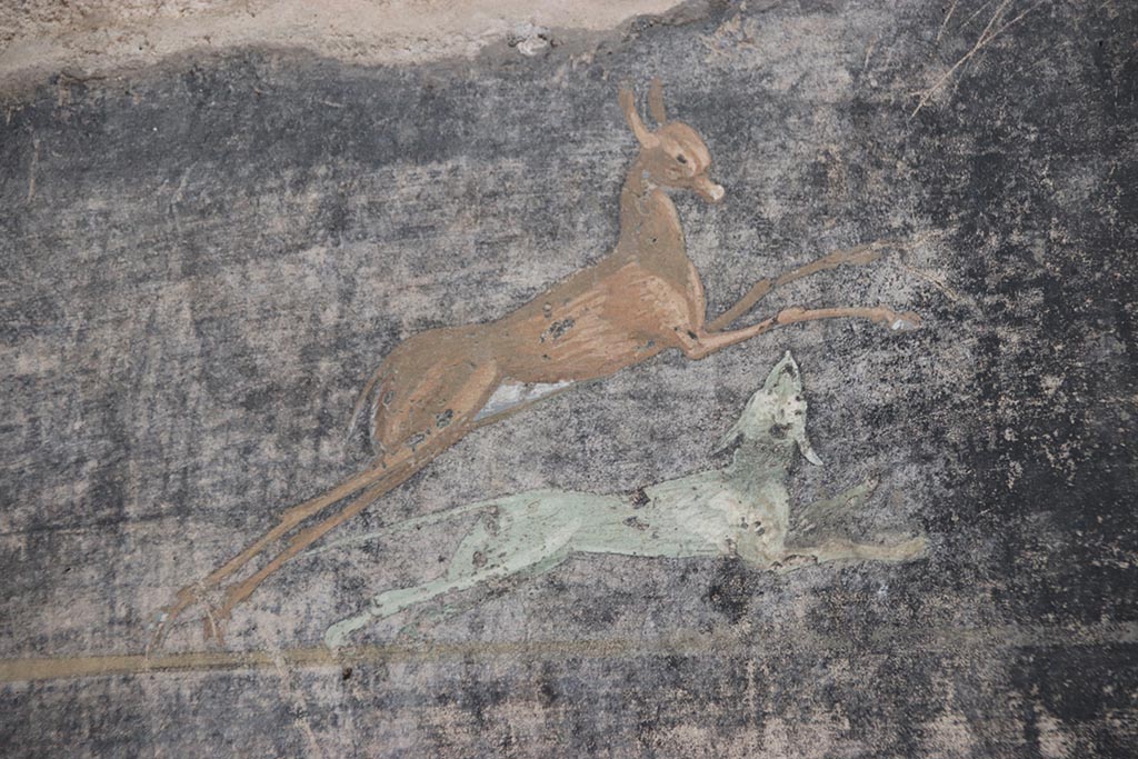 V.4.a Pompeii. October 2024.
Room ‘b’, detail from panel on south wall between doorways to rooms ‘g’ and ‘f’. Photo courtesy of Klaus Heese.