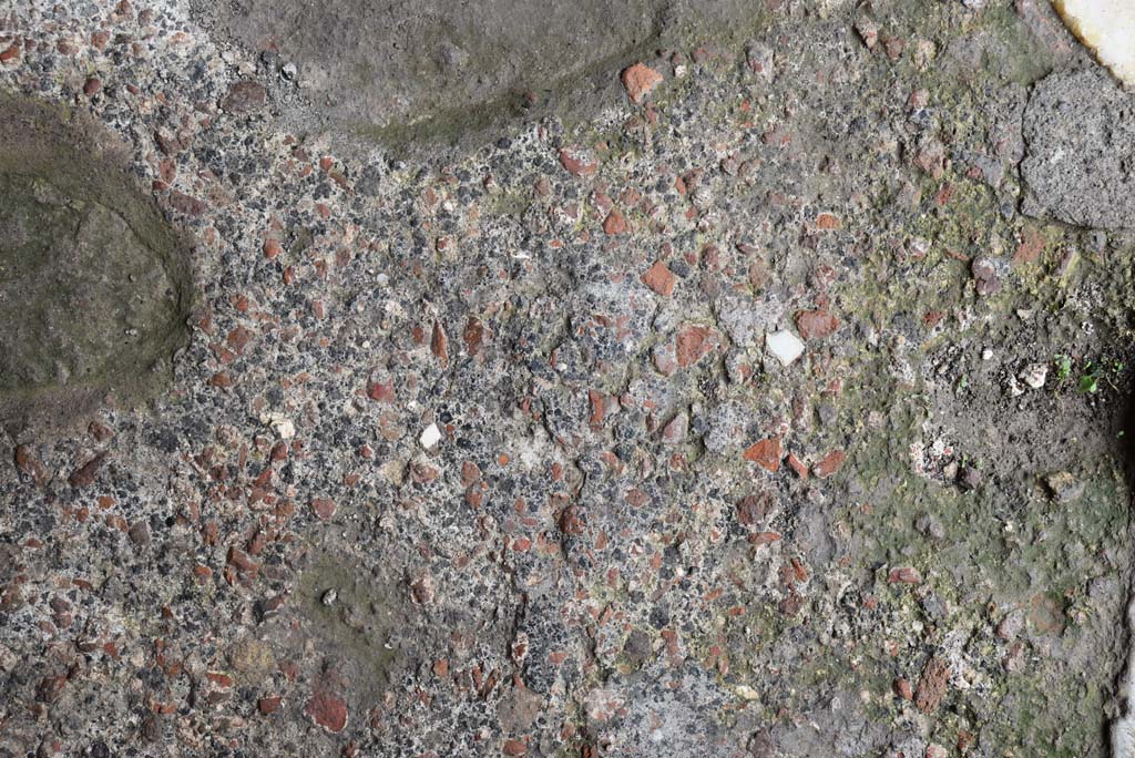 V.4.a Pompeii. March 2018. Detail of flooring in entrance corridor/fauces.
Foto Annette Haug, ERC Grant 681269 DÉCOR