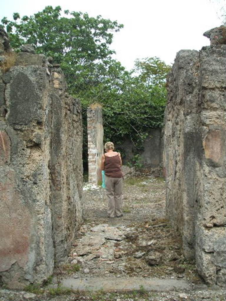 V.4.c Pompeii. May 2005. Entrance doorway, with remains of stucco fallen from wall. According to Sogliano, the threshold of the entrance doorway was made of lava. This had the usual groove for the doorposts and with hinges of iron, of which remains were seen to the left, and with holes for the door bolts. Immediately behind the doorpost, in both walls of the fauces or corridor (andron), could be seen two large vertical recesses. These recesses would have housed the four folding shutters when they were open, two shutters on each side. The entrance fauces or corridor (andron) was decorated in red plaster, divided into panels. In the middle of each panel was a rectangular painting on a black background, with the representation of birds of various types, leaning towards the earth and pecking. In three of the panels the bird was pecking at some fruit, but in the fourth (south, to the right), it was pecking a butterfly or other insect. The base of the corridor wall was black, and the floor was of opus signinum/cocciopesto. See Notizie degli Scavi, 1905, p.130
According to Peterse, a setback can be observed in both walls of the fauces, closest to the street. This indicates a demarcation of the entrance-way. This would have been between the vestibulum facing the street, and the fauces belonging to the house interior. See Peterse, K: in Dobbins, J. J. and Foss, P. W., 2008. The World of Pompeii. Oxford: Routledge. (p.378)