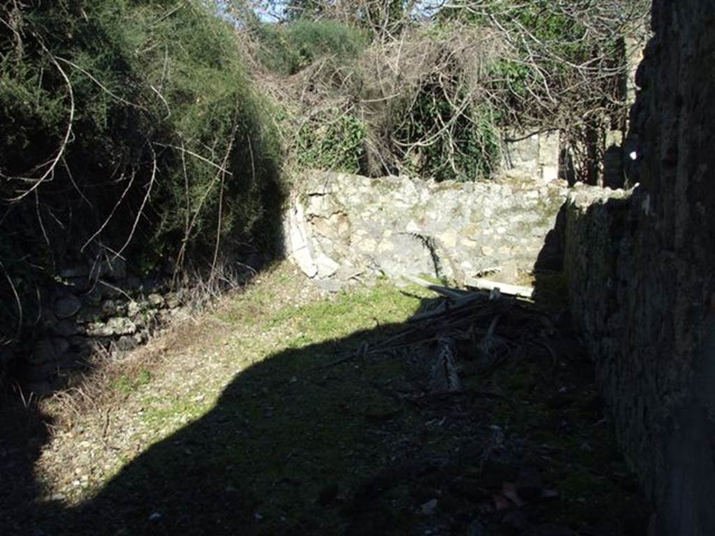 V.4.c Pompeii. March 2009. Room D, large triclinium, looking east. The triclinium D was notable for the beautiful opus signinum floor. Although this was decorated in simple parallel rows of white marble stones, it formed a large rectangle in its centre. This rectangle was also formed with white tesserae, the larger two-thirds showing a rhomboid-meshed netting design. The other third with a combination of motifs. See the drawing of the floor of the room D on the room Plan. See Notizie degli Scavi, 1905, p.129, and 132.