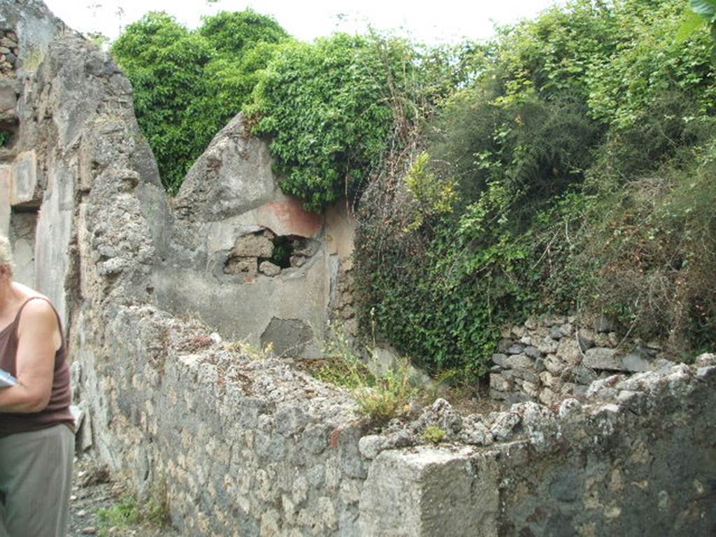 V.4.c Pompeii. May 2005. Room D, large triclinium, looking west from atrium. The west wall still shows some of the painted decoration, this would have had three painted panels. The centre panel was yellow, the sides red, separated by black bands. The base of the wall was black decorated with plant motifs. The east wall was similar. The north and south walls were different with alternative black and red painted panels. However in the north wall towards the right, the remains of a yellow panel could be seen. The decoration thus changed in the eastern end of the room, as well as the design in the rectangle in the floor. This easily clarified this room as being a triclinium, with the couches being placed in the eastern end.
In the eastern side of the north wall, a hollow for a couch could have been seen. See Notizie degli Scavi, 1905, p.132.