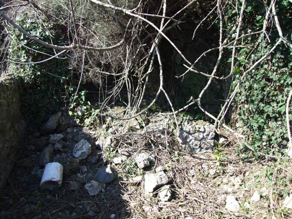 V.4.c Pompeii. March 2009. Room E, ala on north side of atrium.