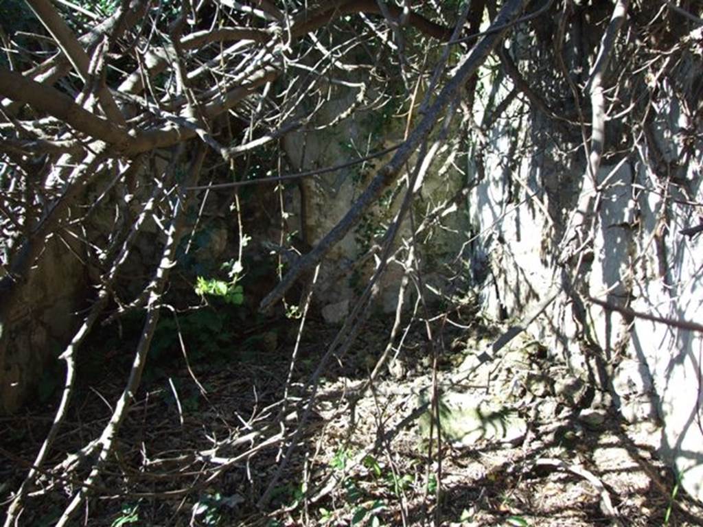 V.4.c Pompeii. March 2009. Room L, triclinium on the north side of the garden K, looking north. On the north side of the garden opened the room L, a wide room with travertine threshold. Of the two pilasters of the room, the one on the left was covered with rough plaster, while the other had a coating of fine plaster: at the top of the pilaster, three large holes made with the chisel could be seen. The room, which was probably covered by a barrel vault, with cocciopesto floor, and decorated with white walls with a red base, which was enlivened by beautiful painted plants. The white walls were panelled, each panel having a flying figure in the centre, a griffin, panther, or a bird, like a swan. In the middle of the eastern wall a bricked-up window was found, the masonry of which had already been covered with a layer of rough plaster. A wooden closet (f) was hung at the south-west corner of the room, as could be seen by an outline made in the floor, and the traces left in the walls. See Notizie degli Scavi, 1905, p.138.