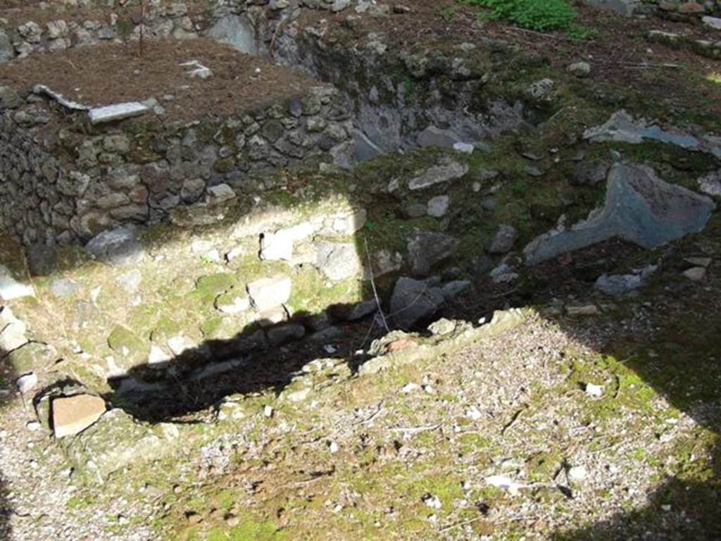 VI.1.7 House of the Vestals. Pool in peristyle.