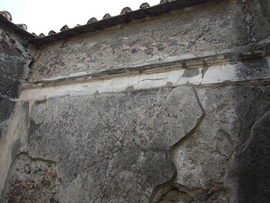 VI.1.7 House of the Vestals. Stucco in room 31.