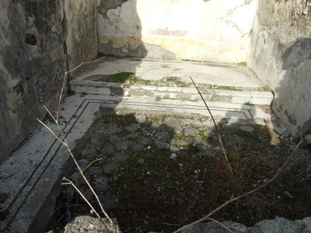VI.1.7 House of the Vestals. Mosaic floor of room 38.