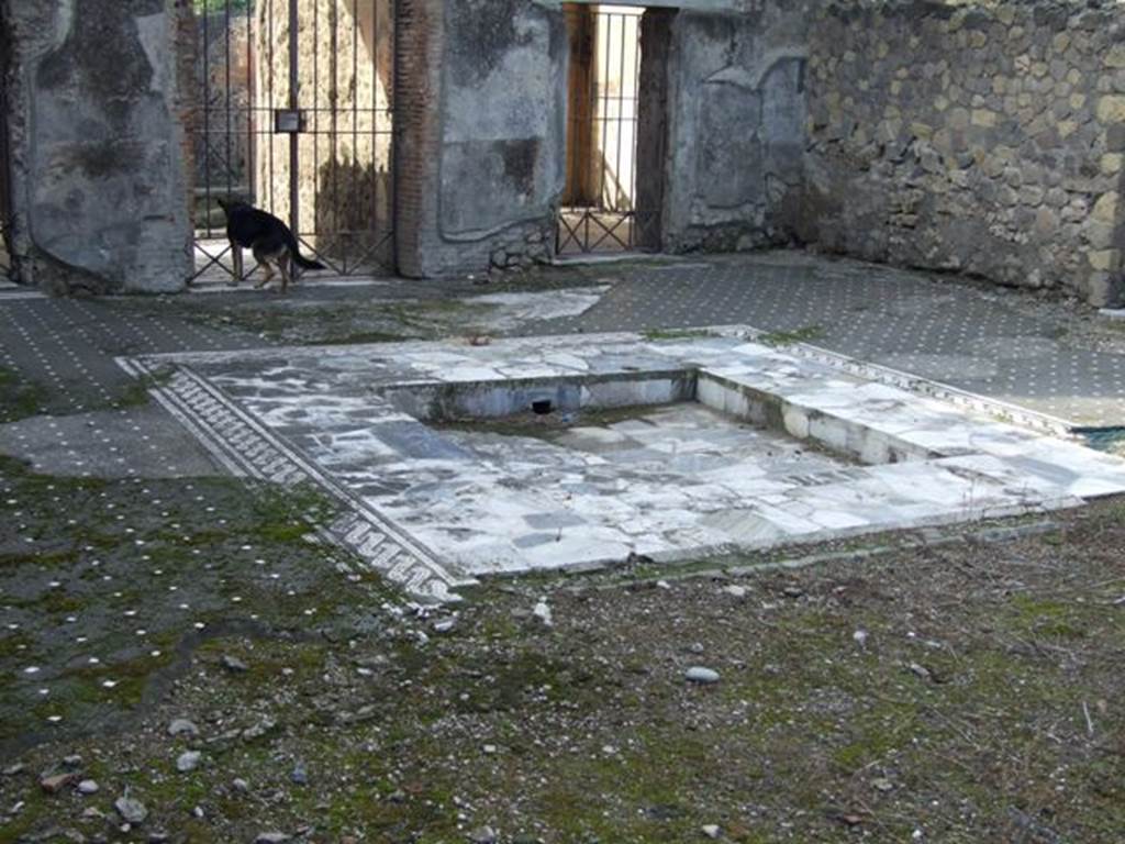 VI.1.7 House of the Vestals. Impluvium in atrium.
