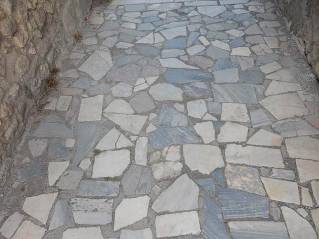 VI.1.7 Pompeii. May 2017. Flooring in entrance corridor formed from slabs of polychrome marble. Photo courtesy of Buzz Ferebee.