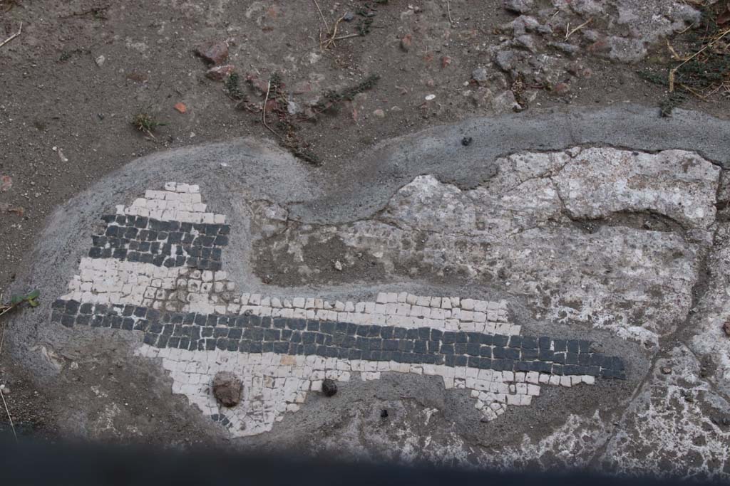 VI.1.7 Pompeii. September 2021. Detail of edge of atrium mosaic. Photo courtesy of Klaus Heese.
