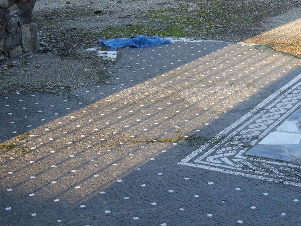 VI.1.7 Pompeii. December 2006. Mosaic in atrium and north-west corner of impluvium mosaic
